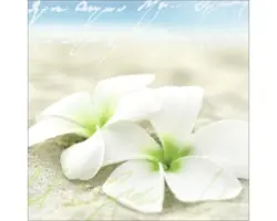 Glasbild Holiday Feeling II 20x20 cm GLA454