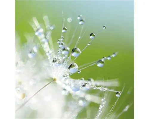 Glasbild Illusion I 30x30 cm GLA506