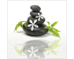 Glasbild Essence Of Life I 50x50 cm GLA510