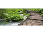 Hornbach Glasbild Sparkling Nature 30x80 cm GLA851