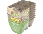 Hornbach Anzuchtplatten FloraSelf eckig 4 cm 48 Stk