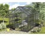 Hornbach Gewächshaus Vitavia Apollo 6200 Hohlkammerplatten 4 mm mit Fundament 195x323 cm schwarz