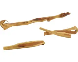 Trockenfutter Hund beeztees 134 g