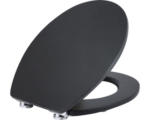 Hornbach WC-Sitz Form & Style Black matt mit Absenkautomatik