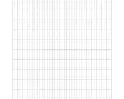 Doppelstabmatte ALBERTS 6/5/6 200 x 200 cm feuerverzinkt