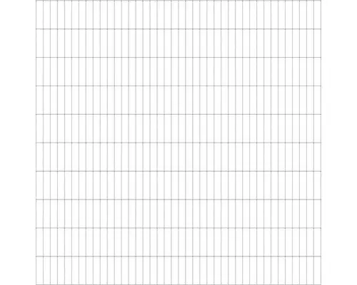 Doppelstabmatte ALBERTS 6/5/6 200 x 200 cm feuerverzinkt
