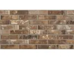 Hornbach Keramik Riemchen Brick Antica Fornace 6,0x25,0 cm Rot;braun