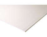 Hornbach Gipskartonplatte Knauf Bauplatte Super 1300x900x12,5 mm