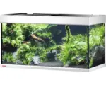 Hornbach Aquarium EHEIM Proxima 250 classicLED
