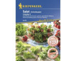 Hornbach Salatsamen Kiepenkerl 'Crispita II'