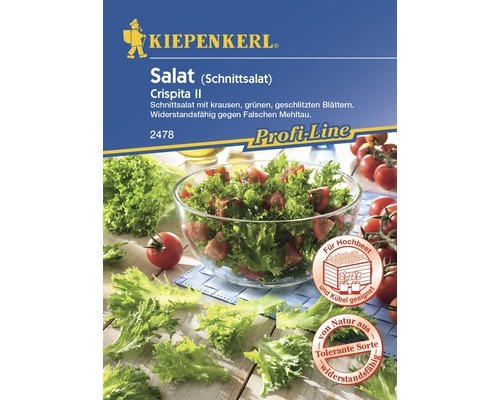 Salatsamen Kiepenkerl 'Crispita II'