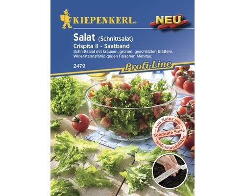 Salatsamen Kiepenkerl 'Crispita II' Saatband