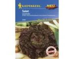Hornbach Salatsamen Kiepenkerl 'Laurenio'