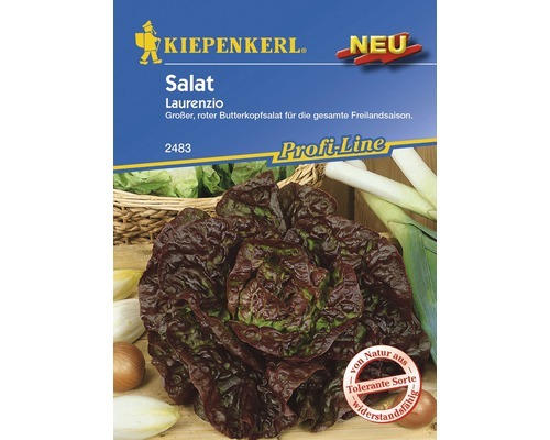 Salatsamen Kiepenkerl 'Laurenio'