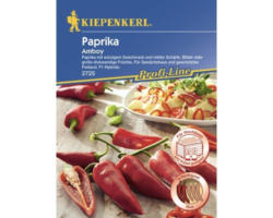 Gemüsesamen Kiepenkerl Paprika 'Amboy'