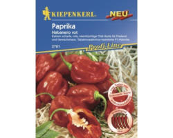 Gemüsesamen Kiepenkerl Paprika 'Habanero'