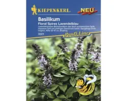 Kräutersamen Kiepenkerl Basilikum 'Floral Lavendelblau'