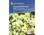 Hornbach Blumensamen Kiepenkerl Schmuckkörbchen/Cosmos 'Xanthos'