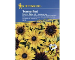 Blumensamen Kiepenkerl Sonnenhut 'Denver Daisy Mix'