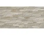 Hornbach Feinsteinzeug Verblendstein 30,2x60,4 cm beige