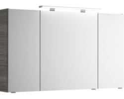 LED-Spiegelschrank Pelipal Xpressline 4010 3-türig 120x70,3x17 cm graphit