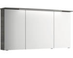 Hornbach LED-Spiegelschrank Pelipal Xpressline 4010 2-türig 140x70,3x17 cm graphit