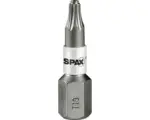 Hornbach Spax Torx Bit TX10