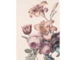 Hornbach Fototapete Vlies 105401 Soft Blush Rosa Blüten 4-tlg.200 x 280 cm