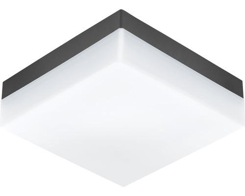 LED Außendeckenleuchte Sonella anthrazit 1-flammig mit Leuchtmittel 820 lm 3000 K warmweiß IP44