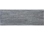 Hornbach FLAIRSTONE Poolumrandung Beckenrandstein Arctic Gneis Element gerade grau 2 Längsseiten gerundet 115 x 35 x 3 cm