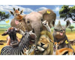 Hornbach Maxi Poster Wildlife Funnies 61x91,5 cm