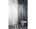 Hornbach Raumdusche Sanotechnik Sanoflex Freedom 2 MP100 990x1950 mm Echtglas Klar hell chromoptik