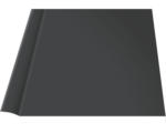 Hornbach Abdeckleiste PVC titan 3x50x1400 mm