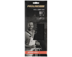 PROLINE GOLD Profi Schleifgitter P120 115x280 mm