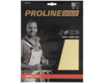 Hornbach PROLINE GOLD Profi Schleifpapier P120 230x280 mm 3 Stück