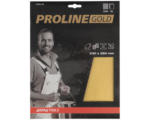 Hornbach PROLINE GOLD Profi Schleifpapier P240 230x280 mm 3 Stück