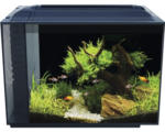 Hornbach Aquarium Fluval Spec XV 60 l mit LED Beleuchtung und Filtersystem schwarz