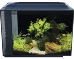 Hornbach Aquarium Fluval Spec XV 60 l mit LED Beleuchtung und Filtersystem schwarz