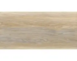 Feinsteinzeug Bodenfliese Rovere 31,0x62,0 cm beige