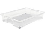 Hornbach Unterbettbox Rotho 78,7 x 15,9 x 58,6 cm transparent