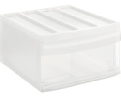 Aufbewahrungsbox Rotho 34 x 20,3 x 39,5 cm transparent