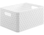 Hornbach Aufbewahrungsbox Rotho 36,8 x 19,1 x 27,8 cm weiß