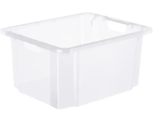 Aufbewahrungsbox Rotho 56,5 x 26,5 x 44 cm transparent