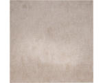 Hornbach Teppichboden Velours Catania beige 500 cm breit (Meterware)