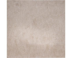 Teppichboden Shag Catania beige 400 cm breit (Meterware)
