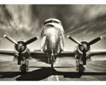 Hornbach Decopanel Airplane 98x136 cm