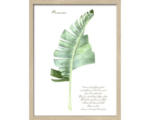 Hornbach Wandbild Green Plant Leaf II 33x43 cm