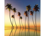 Hornbach Glasbild Palms On Beach I 30x30 cm GLA2024