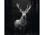 Hornbach Glasbild Grey Deer Head 30x30 cm