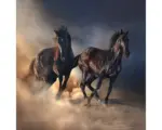 Hornbach Glasbild Two running Horses 50x50 cm GLA2029